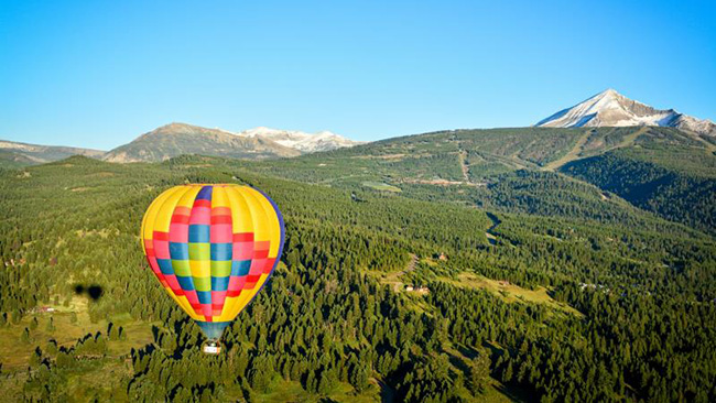 Flying Above The Trees