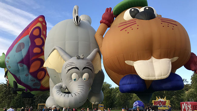 Festival Bud E Beaver Elephant