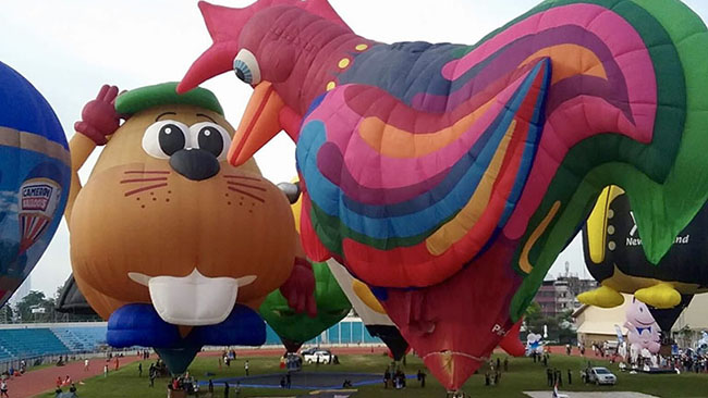 Festival Bud E Beaver