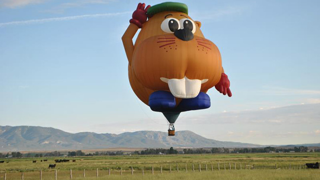 Bud E Beaver Above Field