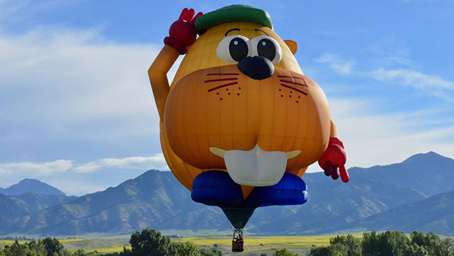 Bud E Beaver Hot Air Balloon