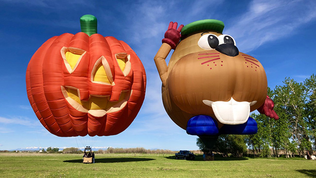 Fun Shaped Balloon Photos