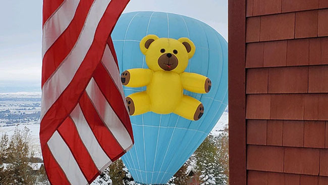 Teddy And American Flag