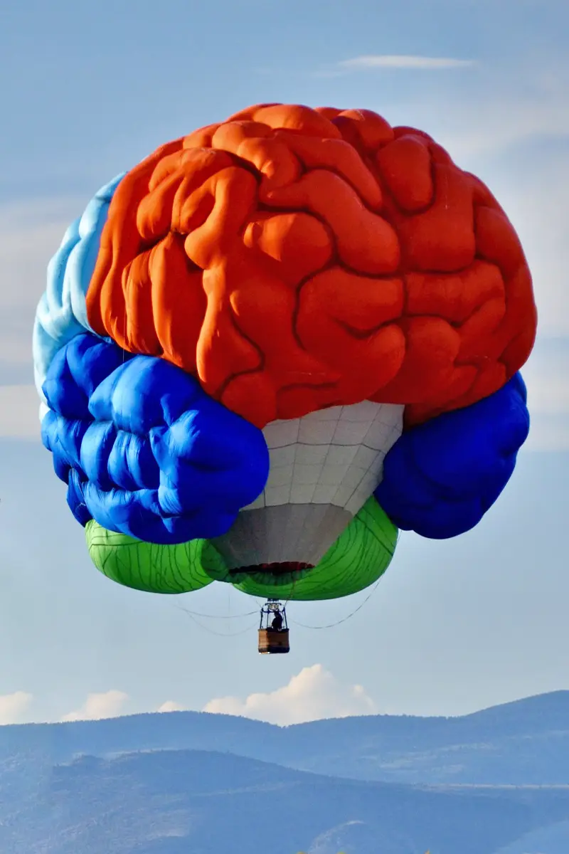 Brain Hot Air Balloon Montana Brain Hot Air Balloon Montana