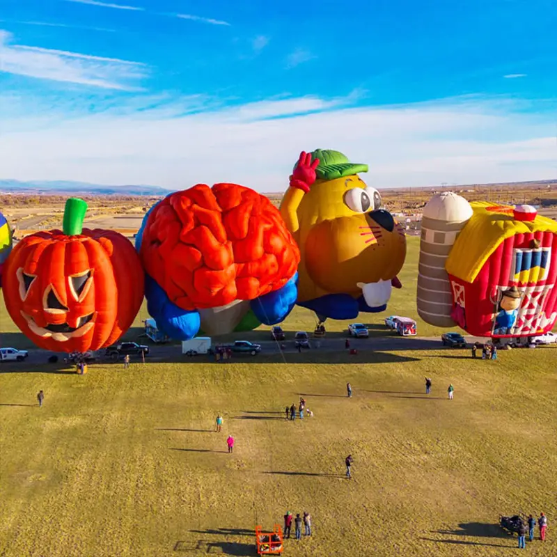 Montana Hot Air Balloon Rides Various Shapes Sizes